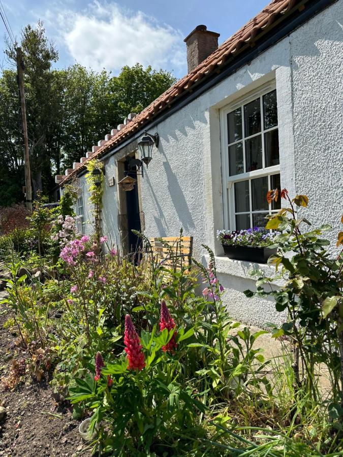 Borthwick Farm Cottage Annex ゴアブリッジ エクステリア 写真